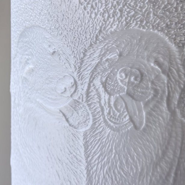 Close-up of the same portrait as white relief